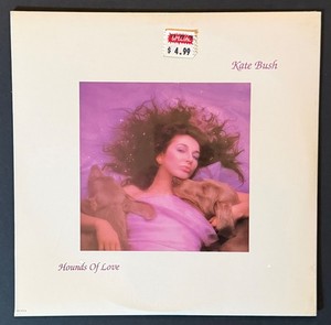 Kate Bush Hounds of Love Vinyl | eBay