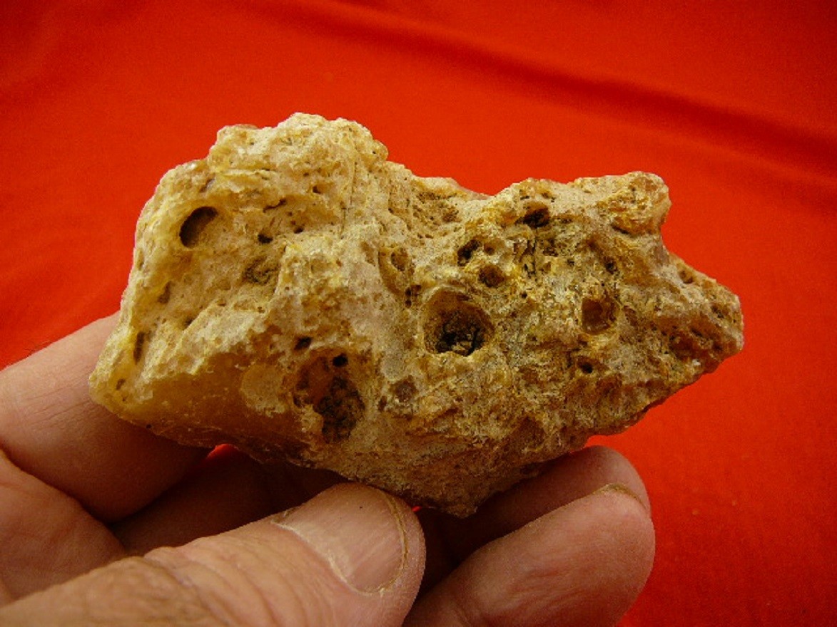 k-3045) 55 g Rare Kauri tree Gum copal young Amber New Zealand
