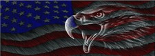 Bald Eagle American Flag Bike Scooter Car Motorcycle Wrap Vinyl Graphic Decal US