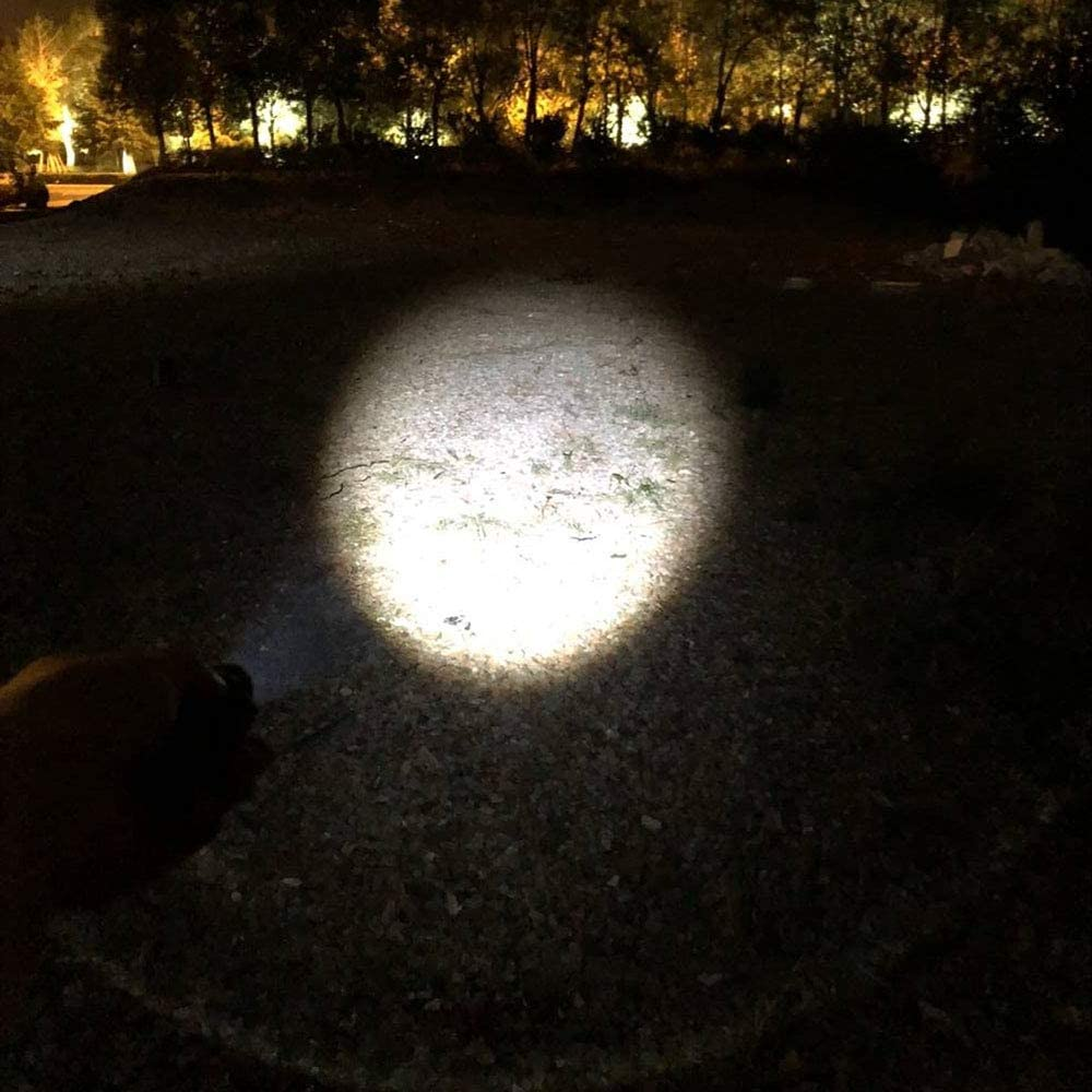 1008126_2