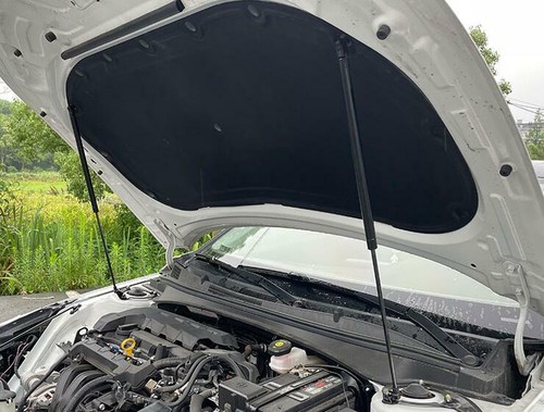 Fit For Hyundai Elantra 2021-2022 Black Front Hood Lift Support Shock Struts Kit - Picture 2 of 3