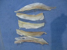 5 real deer back sinew HALFS  native thread bow backing sewing for beading Z2