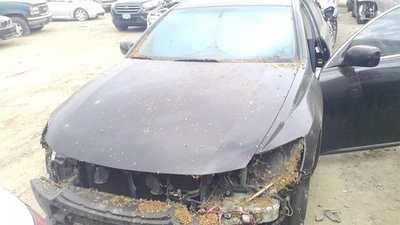 #ad #ad Used Washer Fluid Reservoir fits: 2006 Lexus GS300 w o headlamp washers Grade A $104.55