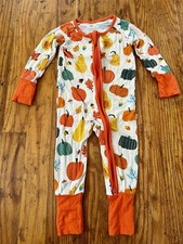 Little Sleepies Autumn Harvest Bamboo Zippy Unisex In Size 0-3 Month