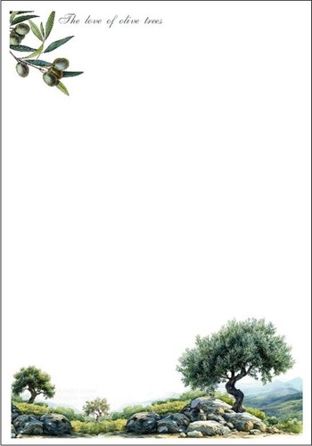 'The Love of Olive Trees' A5 Letter writing paper sets - envelopes optional - Picture 6 of 13