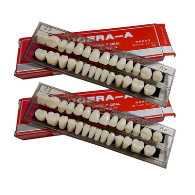 56 Pcs False Teeth Dental Complete Acrylic Resin Denture Teeth, 2 Set Whole Teet