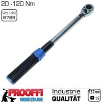 "DrehmomentschlüSsel 20 - 120 Nm Drehmoment SchlüSsel Torque 3/8\" Ratsche Knarre"