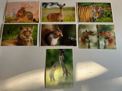 Vintage CUTE ANIMAL Postcard Lot of 7 The Postcard Store UK + Unbranded EX