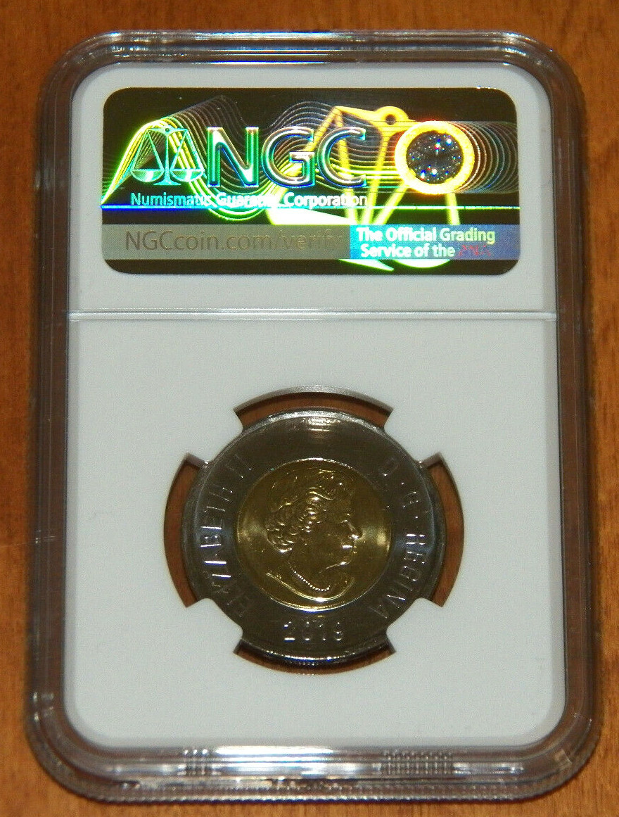Picture 6 of 6