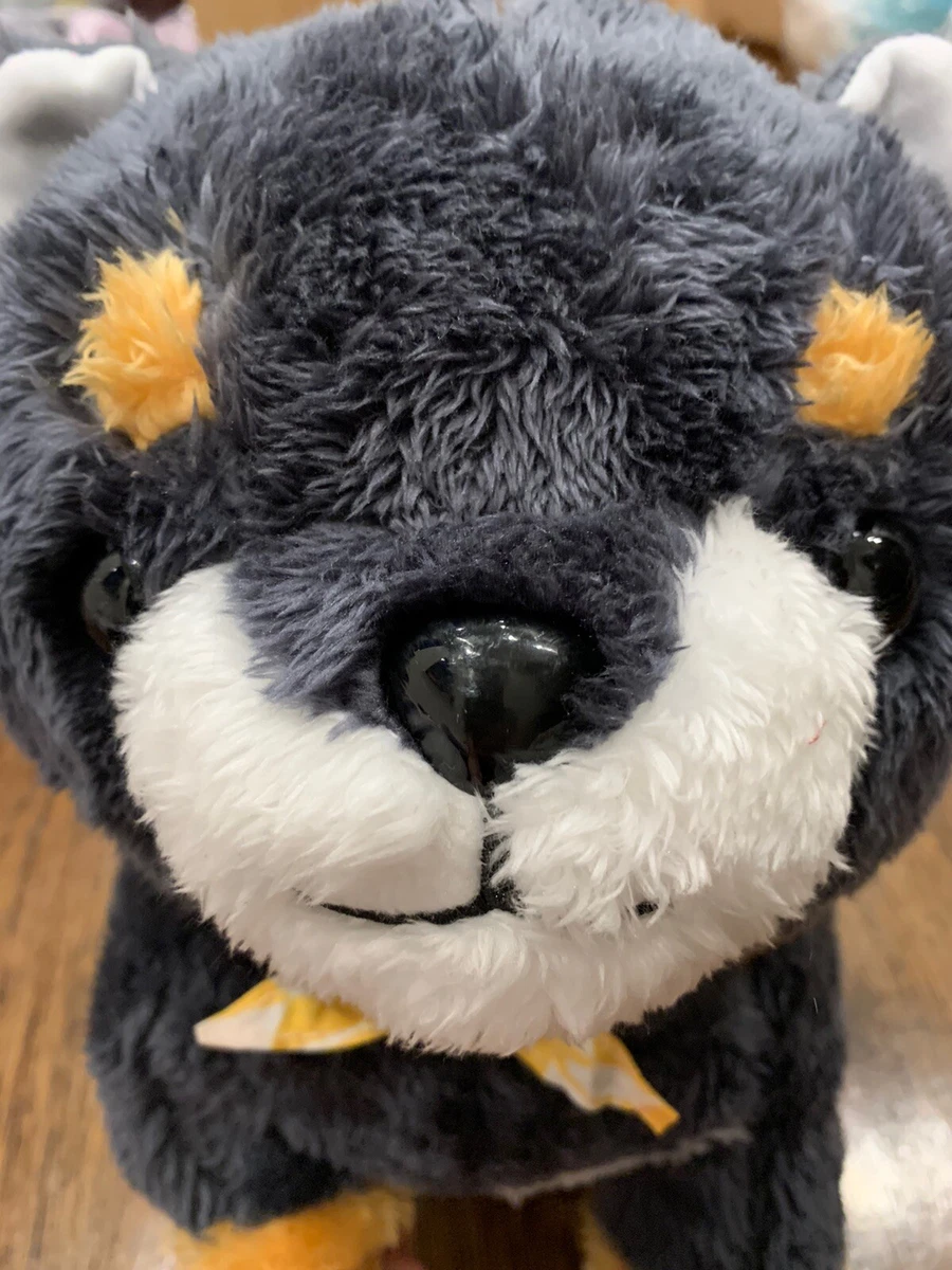Shiba Inu Plush Amuse Collection Blue Gray Shibe Round 1 JAPAN