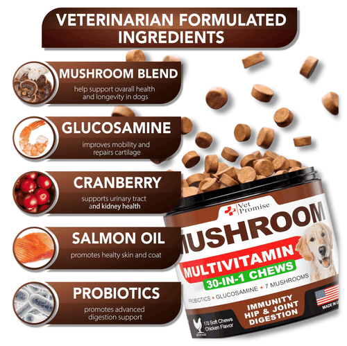 (2 Pack) Mushroom for Dogs 340 Chews Turkey Tail Mushroom Supplement for - Bild 2 von 6