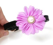 Dog Cat Collar, Daisy Flower with Pearl Purple, X-Small Small