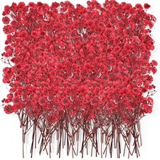 Dried Baby Breath Flowers Red Gypsophila Dried Pressed Flowers 1.97-3.15