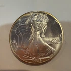 Gem BU 1989 American Silver Eagle .999 and authenticity description guarantee