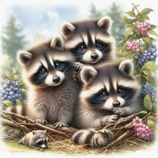 Animals Raccoon Diamond Art Kits for Adult Diamond Painting Kit