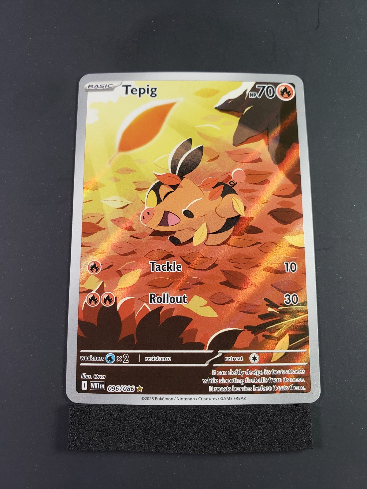Pokemon Tepig 096/086 Sv: White Flare Holo