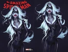AMAZING SPIDER-MAN 19 IVAN TAO BLACK CAT VIRGIN VARIANT-A & B 2-PACK LE 800 COA