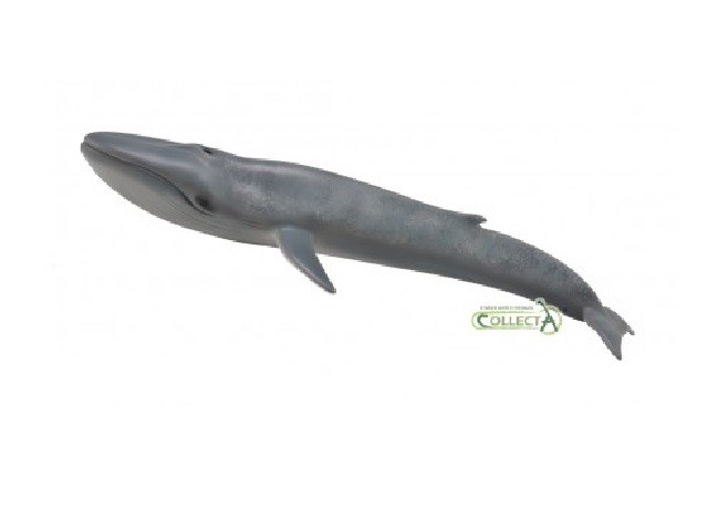 Collecta 88834 Blue Whale 27 Cm Water Animals