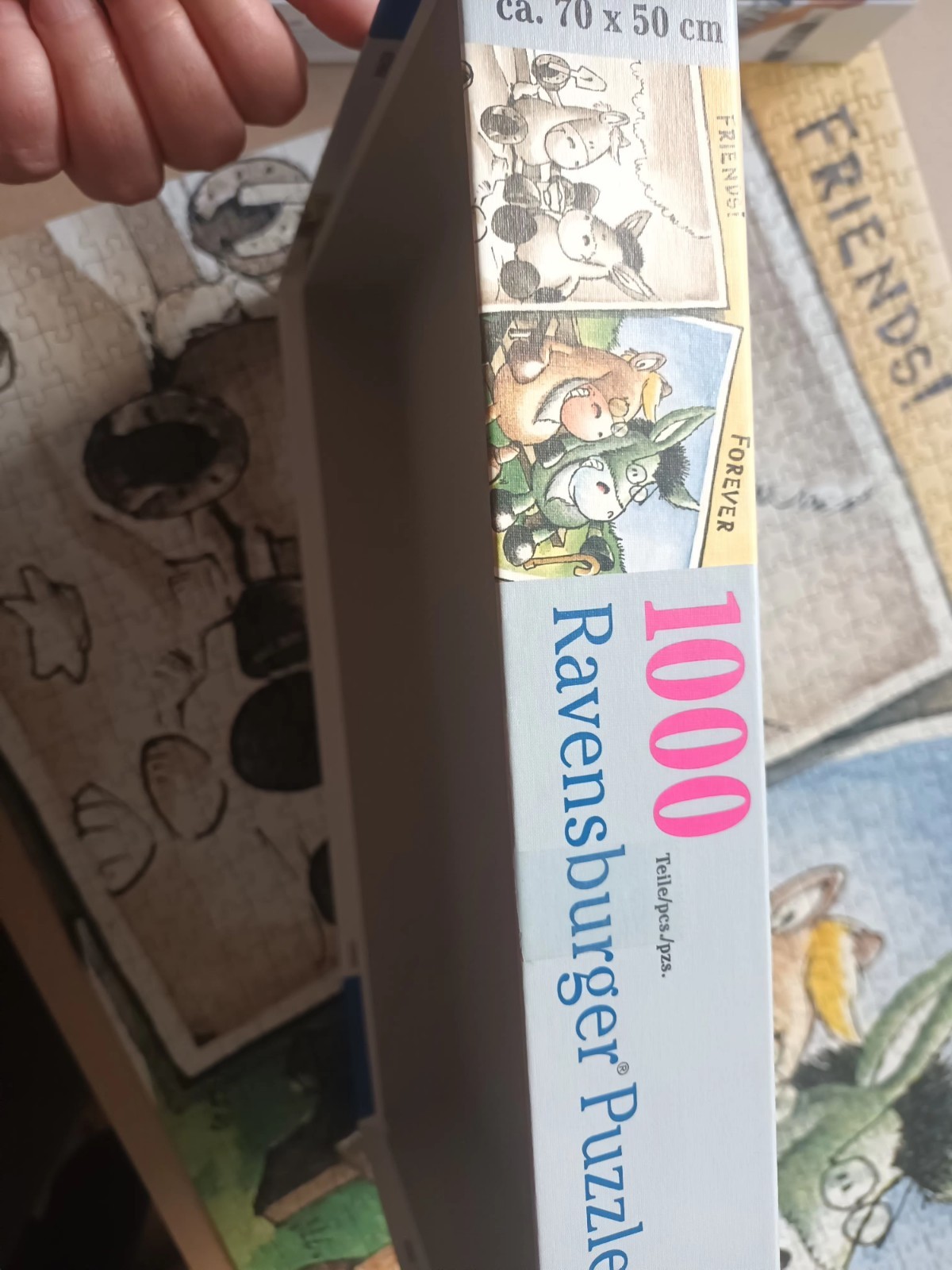 Bild 12 von 14