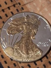 2000 American Eagle 1 ozt .999 Fine Silver 24K Gold Gilded One Dollar $1 Capsule