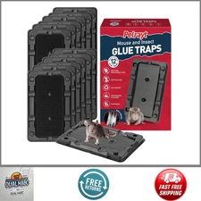 Glue Mouse Traps Indoor 12 Pack Sticky Pre-Scented Non-Toxic Boards Safe Pest