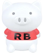 Hussey Top Inn Hashy TOPIN Gymnastics Boo Boo MEGA 2 Radio Exercises 1st 2n 44