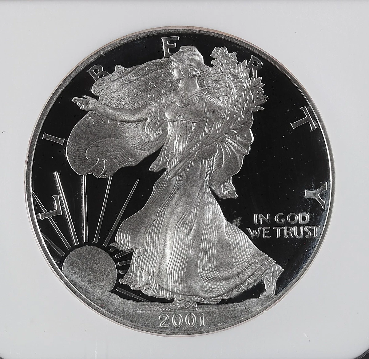 American Eagle 2001 U.S. Mint Silver Bullion Coins for sale | eBay