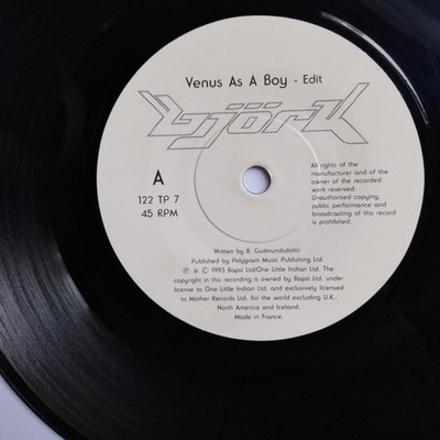 BJORK: Venus as a Boy 7