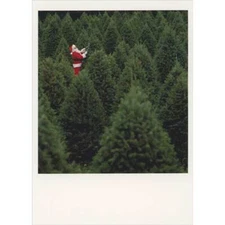 Santa Trimming the Top of an Evergreen Tree in Forest Box of 10 Christmas Cards