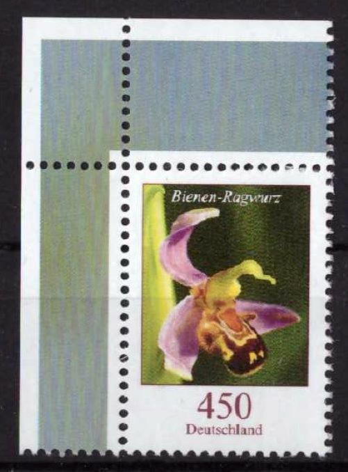 Bild 55 von 56