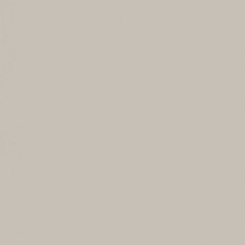 Savage Widetone Seamless Background Paper 12 Studio Gray, 107" x 36'