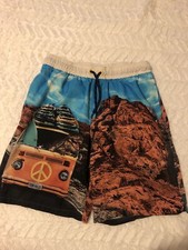 Swim Trunks   W/Dino In The Car   Boys 10/12