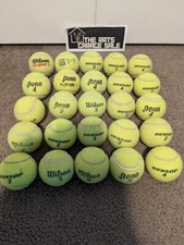 25 Used Tennis Balls - Assorted Variety - Penn - Wilson - Dunlap - Dogs - Walker