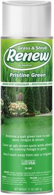 Seymour 20-602 Grass and Shrub Renew Spray Paint, Pristine Green (17 Oz.)