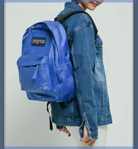 $50 JANSPORT Hyperbreak Backpack 25L 