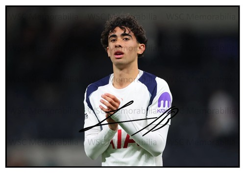 12826. Luca Williams-Barnett Signed Pictures (A4 Prints) Tottenham Hotspur