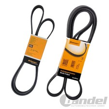 CONTI KEILRIPPENRIEMEN-SATZ KEILRIEMEN LIMA+KLIMA passend für BMW E36 Z3 316-318