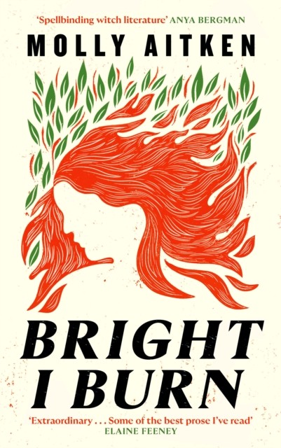 Bright I Burn by Molly Aitken 9781786898388 NEW Free UK Delivery - Image 3