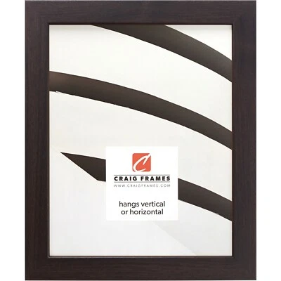 Craig Frames Essentials, 1 Inch Wide Modern Brazilian Walnut Brown Picture Frame