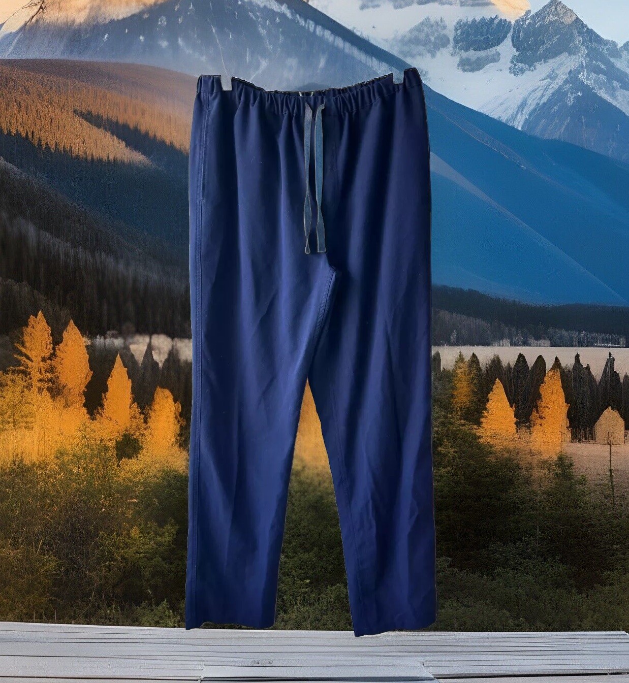 Figs Mens Pants Large Pisco Basic Scrub Navy Tech… - image 1