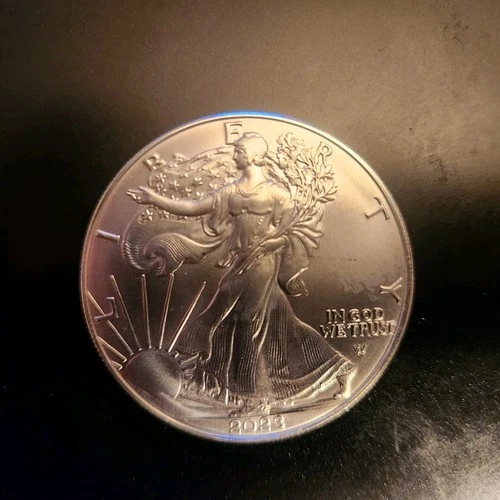 Lot of 10- $1 American Silver Eagle 1oz Brilliant Unc  Year 2023