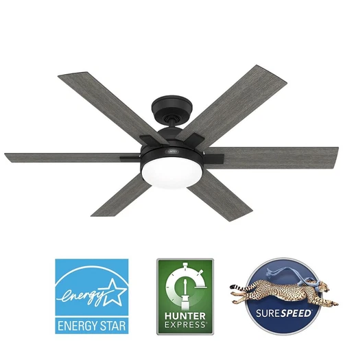 Hunter 52 Georgetown ENERGY STAR Ceiling Fan W/ LED Light, Remote - Contemporary - Picture 2 of 24