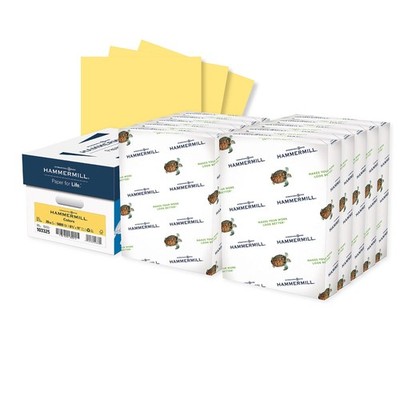 Hammermill Colored Paper, 20 lb Buff Paper, 8.5 x 11-10 Ream (5,000 Sheets)