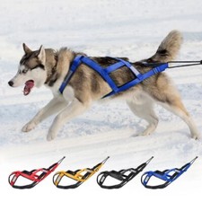 dog sled products for sale UK
