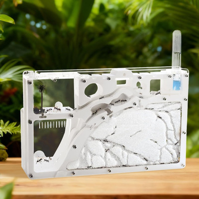 Ant Farm Castle Ant Farm Kit for Kids, Ant Habitat Science Learning Kit, Ant Far