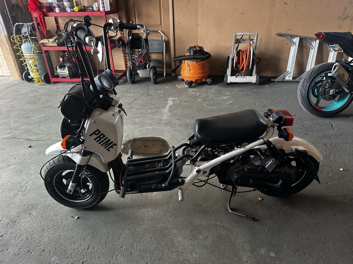 2013 Honda Ruckus 49 Cc Motorcycle | eBay