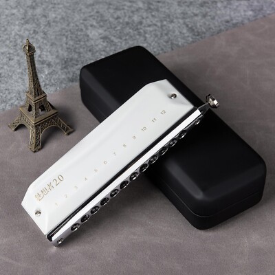 EASTTOP 12Hole 48Tone Chromatic Harmonica Key of C Professional Mouth Organ DE