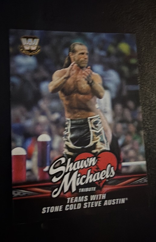 2018 Topps WWE Then Now Forever Shawn Michaels Tribute Part 4 Shawn Michaels #40