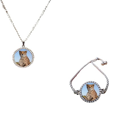 2er Set Gepard Wildlife silberfarben Armband und Halskette und Geschenkboxen