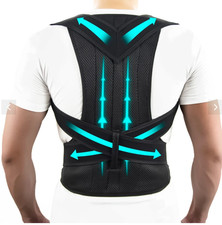 premiun back wellness support 
